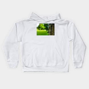 English Ivy on a Post Kids Hoodie